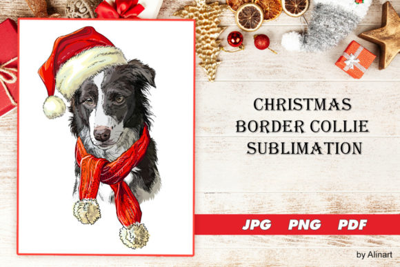 Christmas Border Collie Dog Sublimation Illustrations