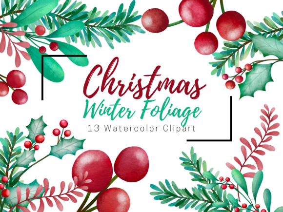 Christmas Winter Foliage Watercolor Illustrations