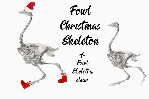 Fowl Skeleton Christmas Celebrations Illustrations